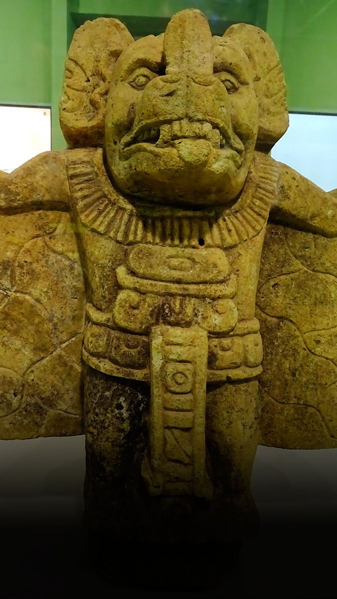 𝙕𝘼𝙈𝘼𝙃𝙀𝙇 tweet media