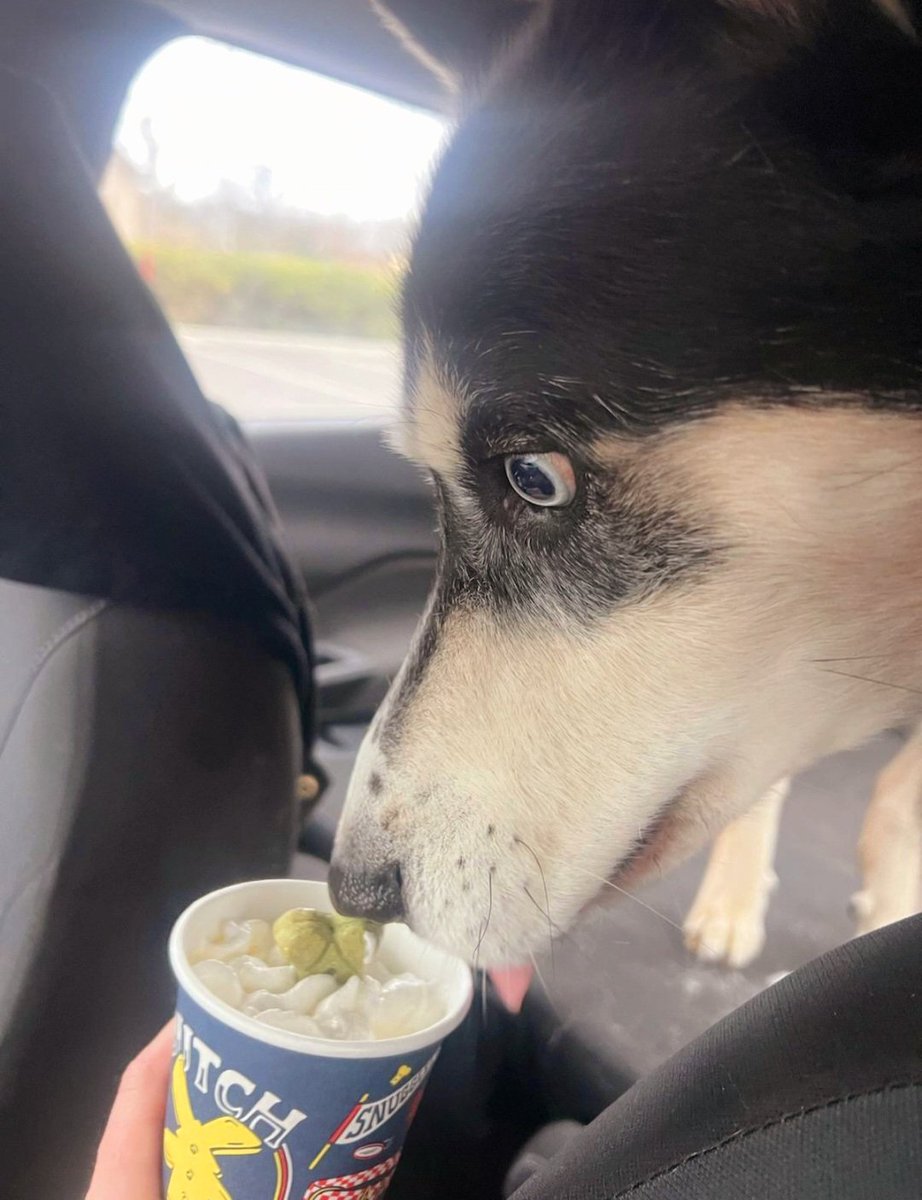 Helen Bradford tweet media