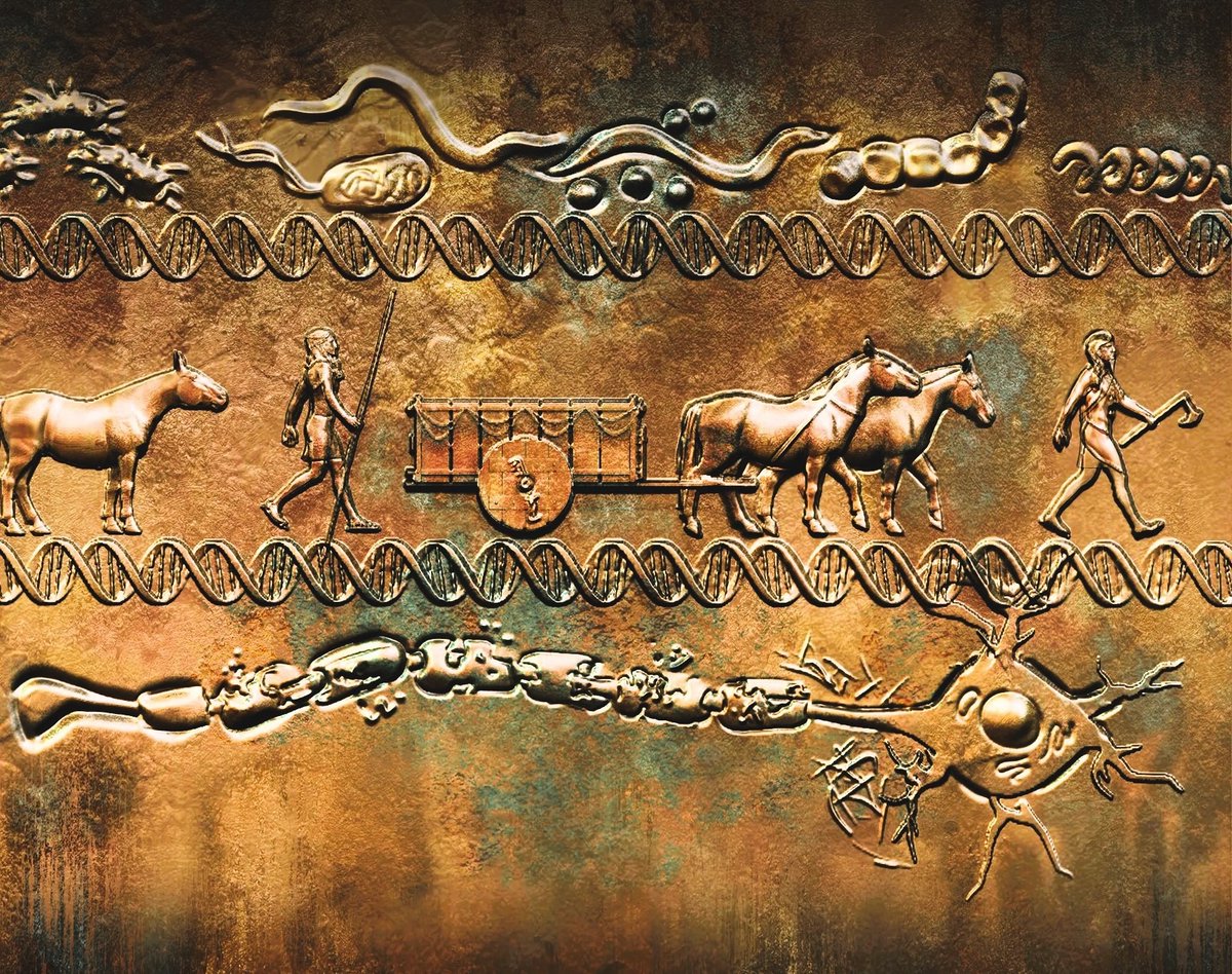 NewsMedical's tweet image. Ancient DNA traces multiple sclerosis origins to 5,000-year-old migrations 🧬🌍🔍 news-medical.net/news/20240113/… #AncientDNA #MultipleSclerosis #GeneticResearch #HumanMigration #Neurodegenerative #HistoricalGenetics #Evolutionary #Biology