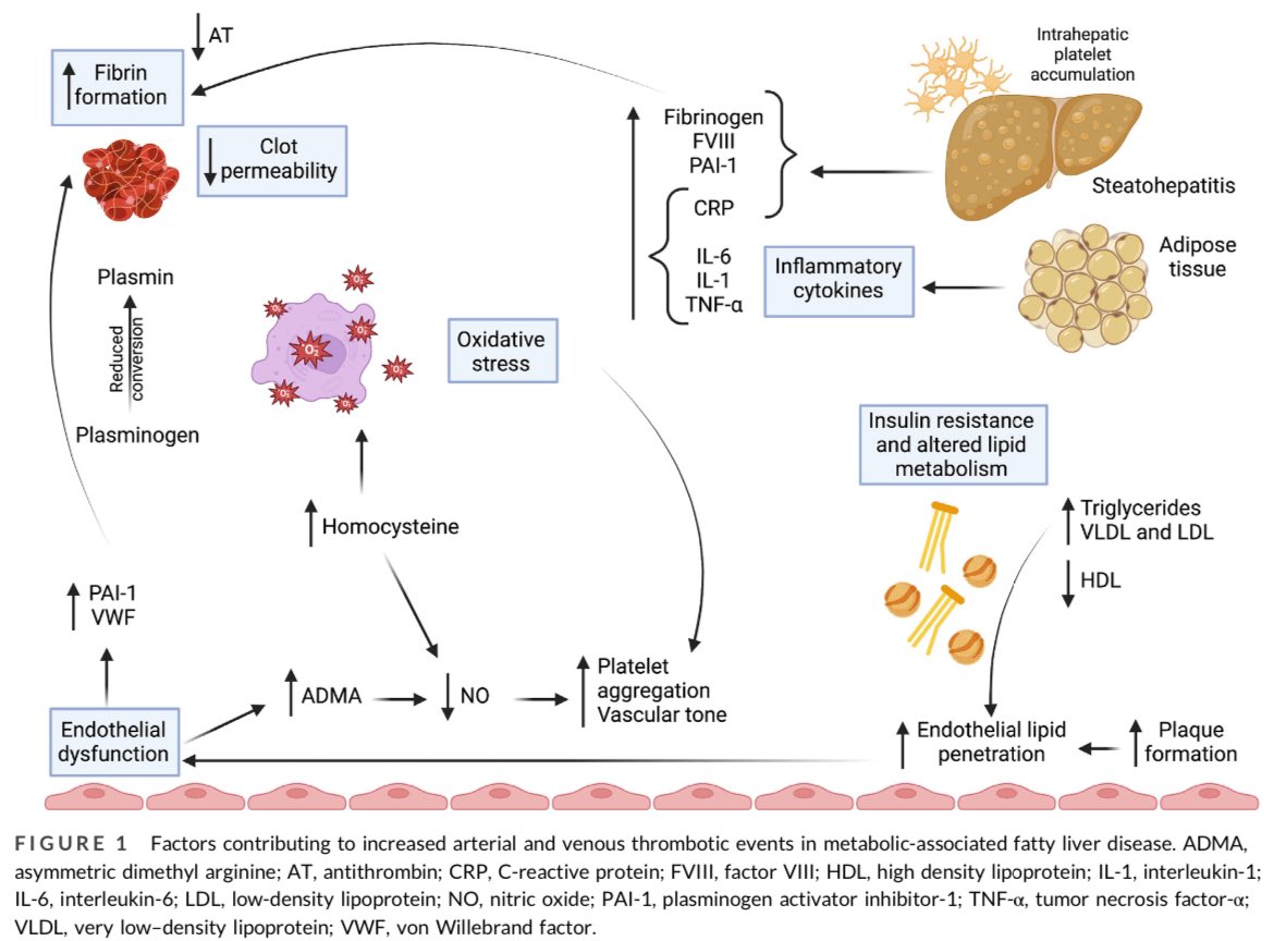 Hematología Intensa tweet media