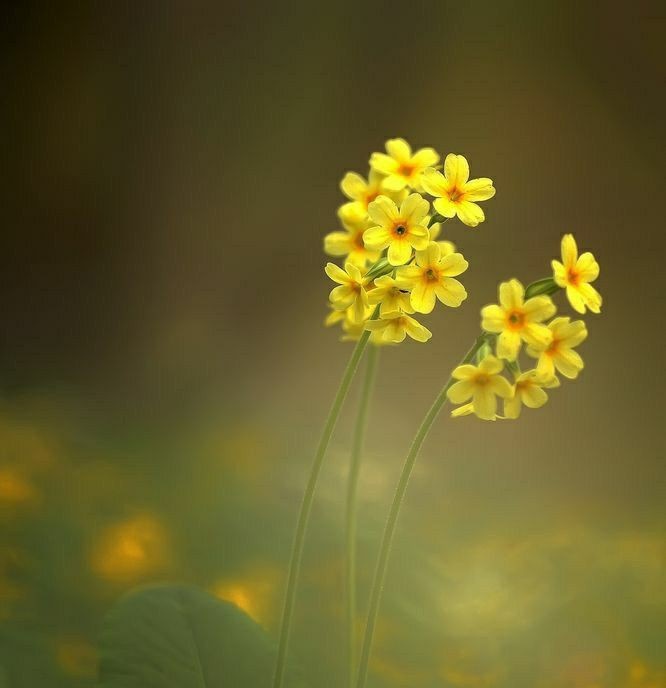 Good morning everyone have a great day