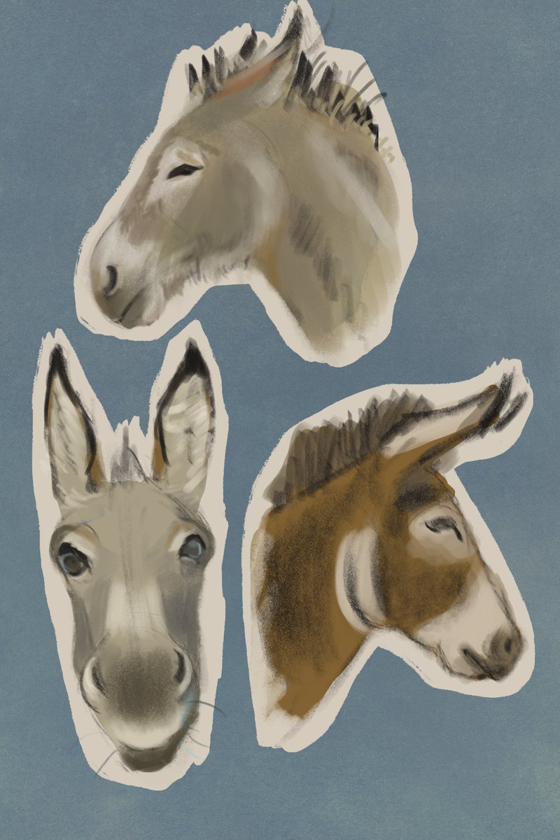 It's donkey head day.

All day.