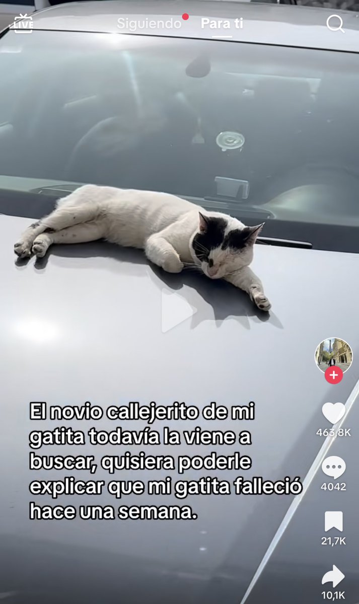 bianpuki's tweet photo. No sé qué me hizo llorar más si el video o los comentarios https://t.co/xUgN4omqgb