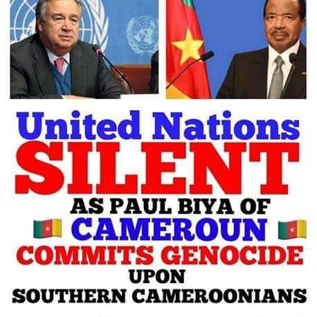 RobertR41182121's tweet image. Stop the ongoing since 2016 #GenocideInSouthernCameroons ! Aka #Ambazonia !