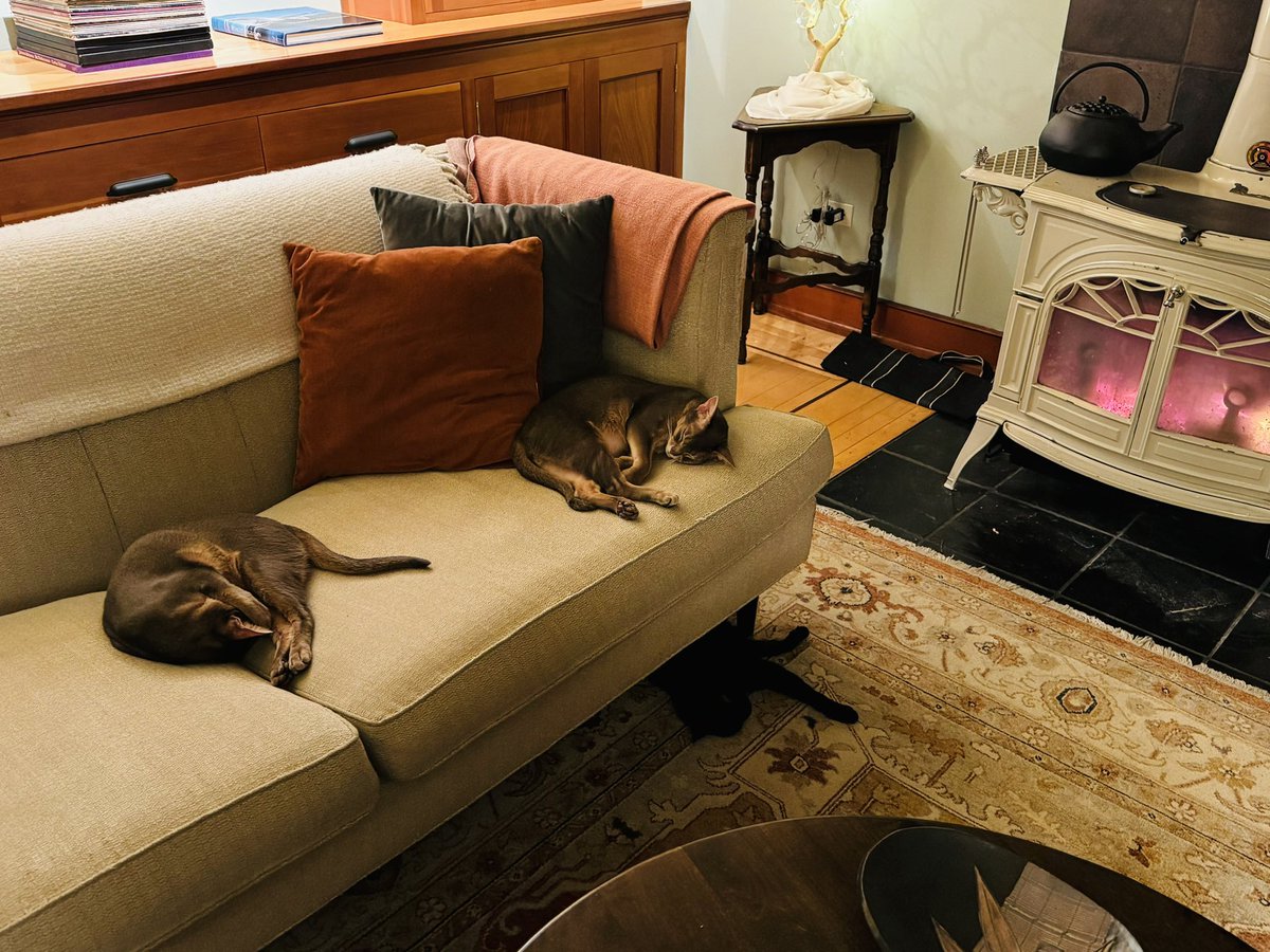 Three cats + freezing cold night + one blazing hot woodstove = peace. #wawx #CatsOfTwitter #Abyssinians