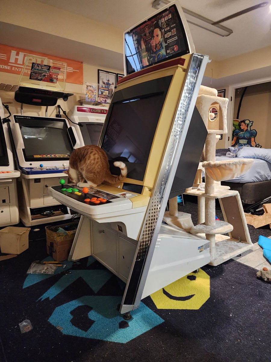 EC3_Arcade's tweet photo. New Cab Alert!!! New Net City with a Naomi Netboot setup. I said I would never buy this hardware again but I just love CVS. I couldn't help it. #sega #nnc #newnetcity #candycab #arcade #coinop #realhardware #smallstreamer #ec3 https://t.co/DKHNbR5xiX