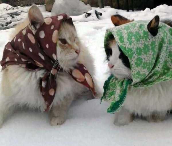 AgathaChocolats's tweet photo. In six words or fewer, write a story about this photo.
#sixwordstory #WritingCommmunity https://t.co/jYDxX5UlWZ