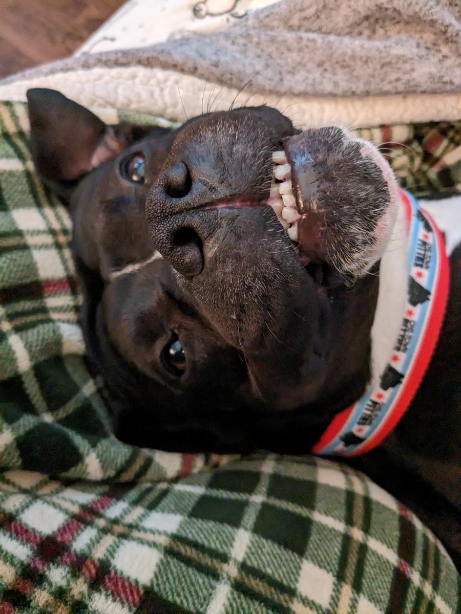 Ms. Groth tweet media