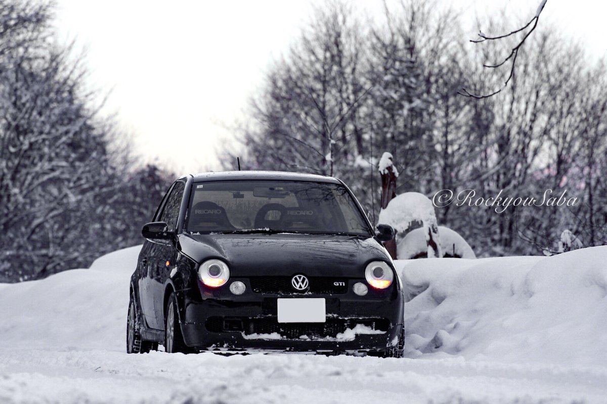 rockyousaba's tweet photo. 雪の上のLupo。 https://t.co/sewKYrGmUP