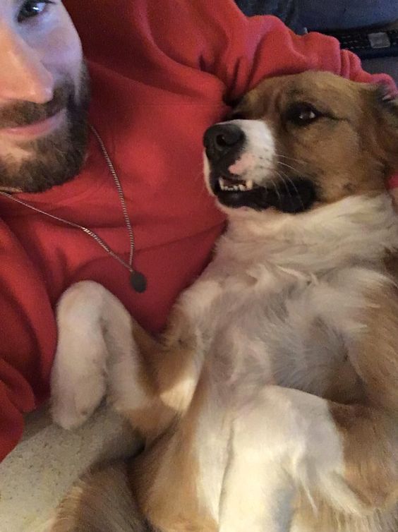 _ManOutOfTime's tweet image. 