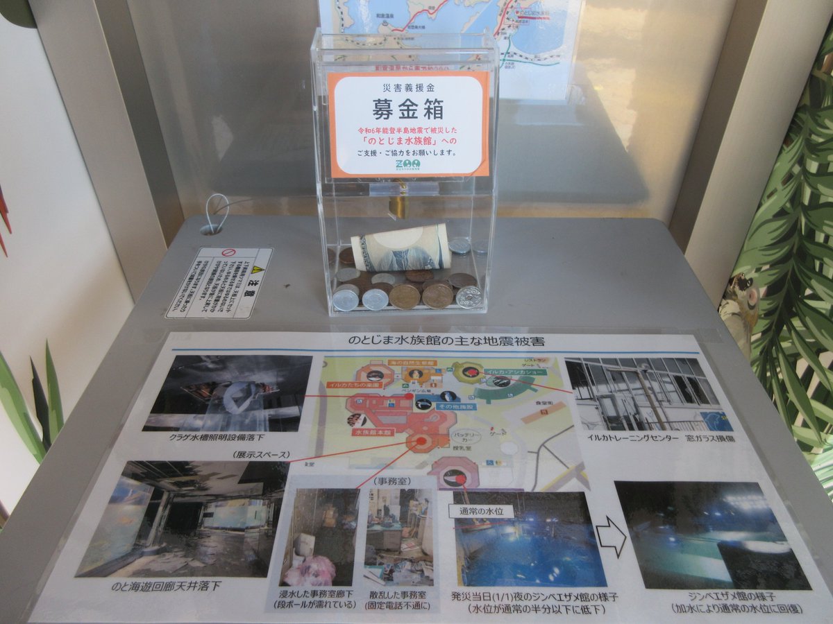 HitachiCity_Zoo's tweet photo. 【のとじま水族館への募金のお願い】
能登半島地震で被災された方々に心よりお見舞い申し上げます。この度「のとじま水族館」に対し、(公社)日本動物園水族館を通して支援のための募金をいたします→https://t.co/fKnwlXdw3G
また、園長ブログもよろしければお読みください→https://t.co/lhSIE91nPB https://t.co/WLOUJNwfEU