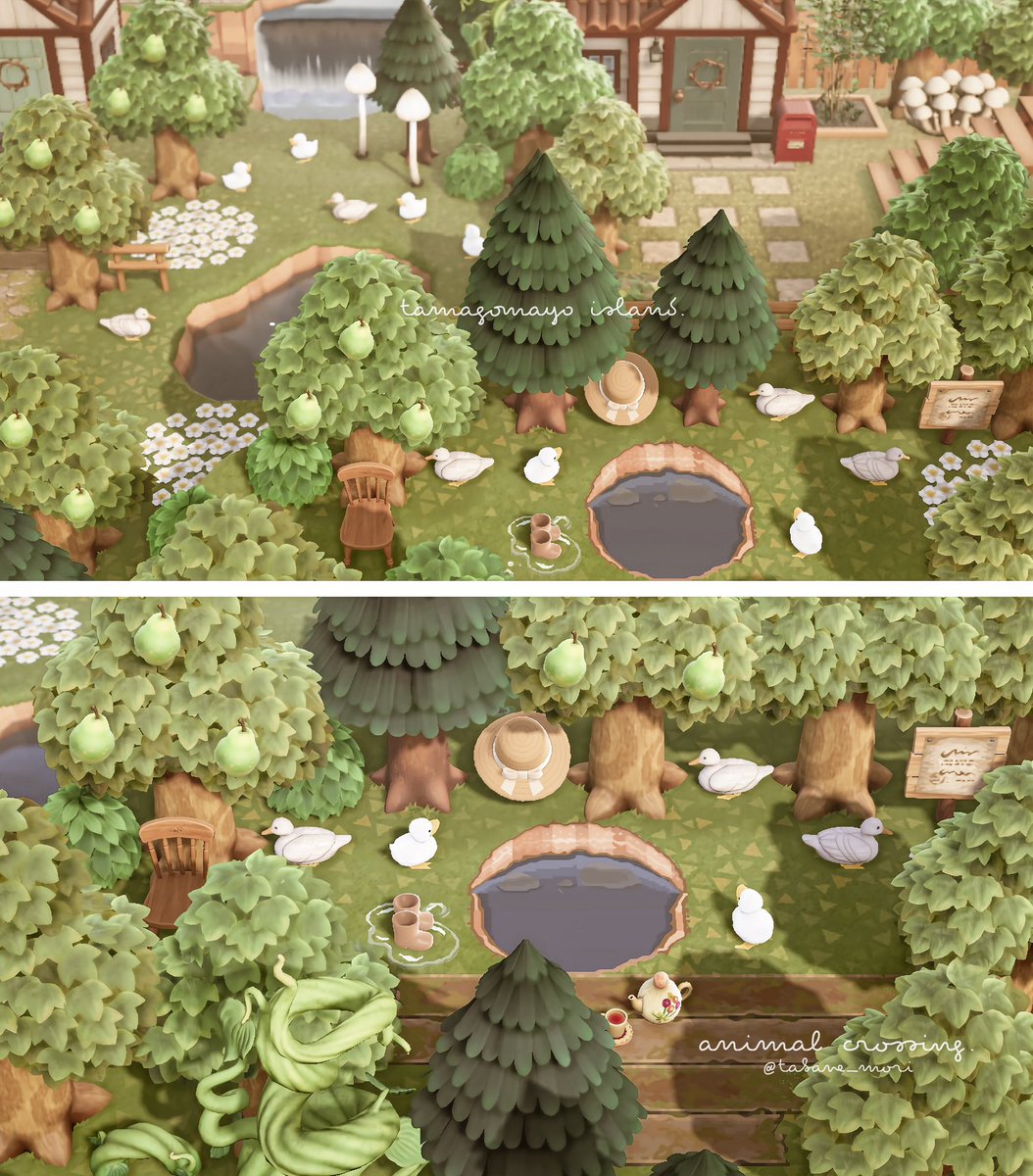 tabane_mori's tweet photo. 🪿🐥🐥🍃

#AnimalCrossingNewHorizons 
#あつ森写真部
#ACNH  #あつ森 https://t.co/KHfzK391sm