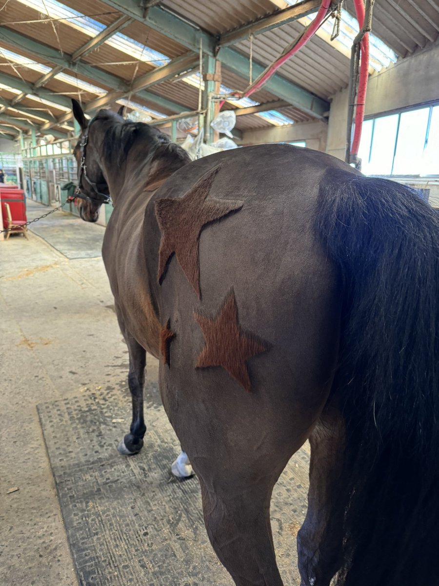 AKAcassius（カヤwithカシアス） tweet media