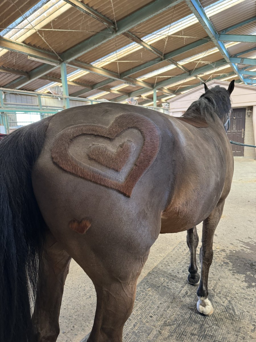 AKAcassius（カヤwithカシアス） tweet media