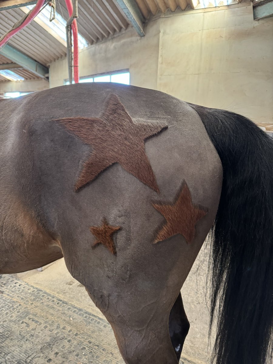 AKAcassius（カヤwithカシアス） tweet media