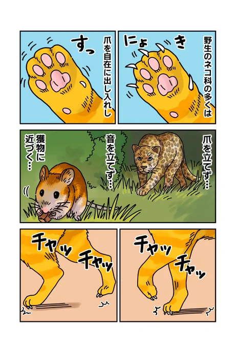 野生を辞めた音 https://nekonavi.jp/catblog/archives/78192