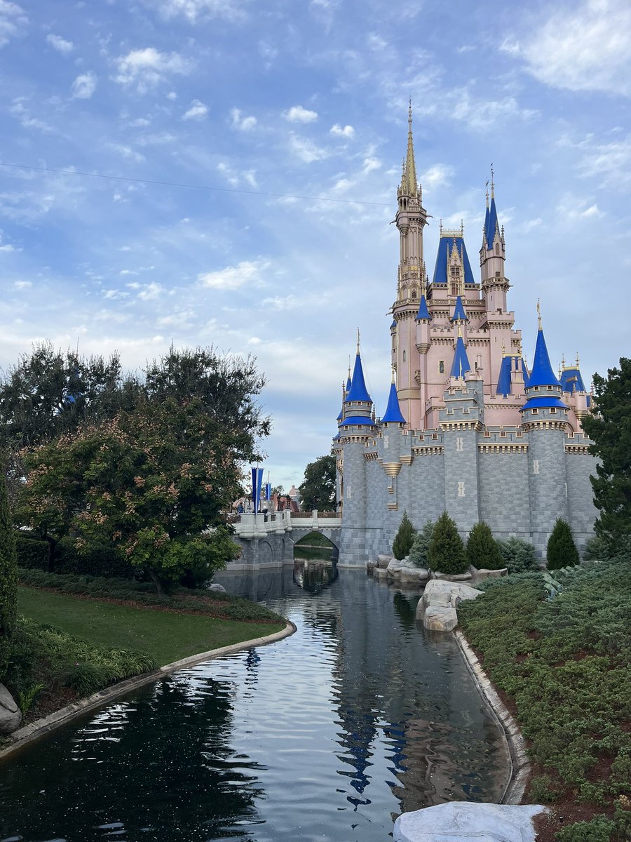 Pixie Alesha (@anc1031) on Twitter photo 