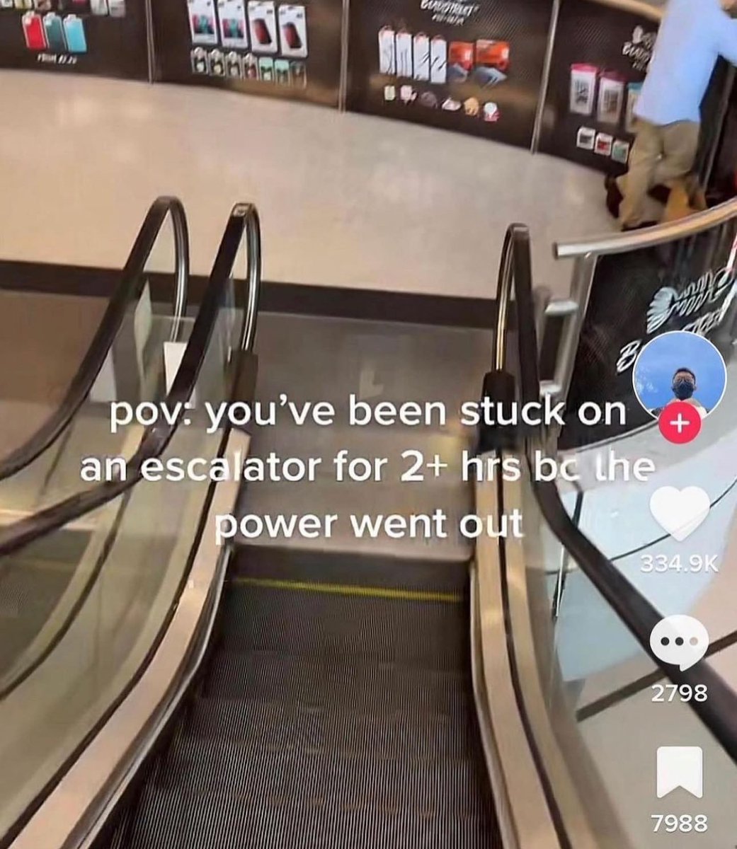 Wild TikToks tweet media