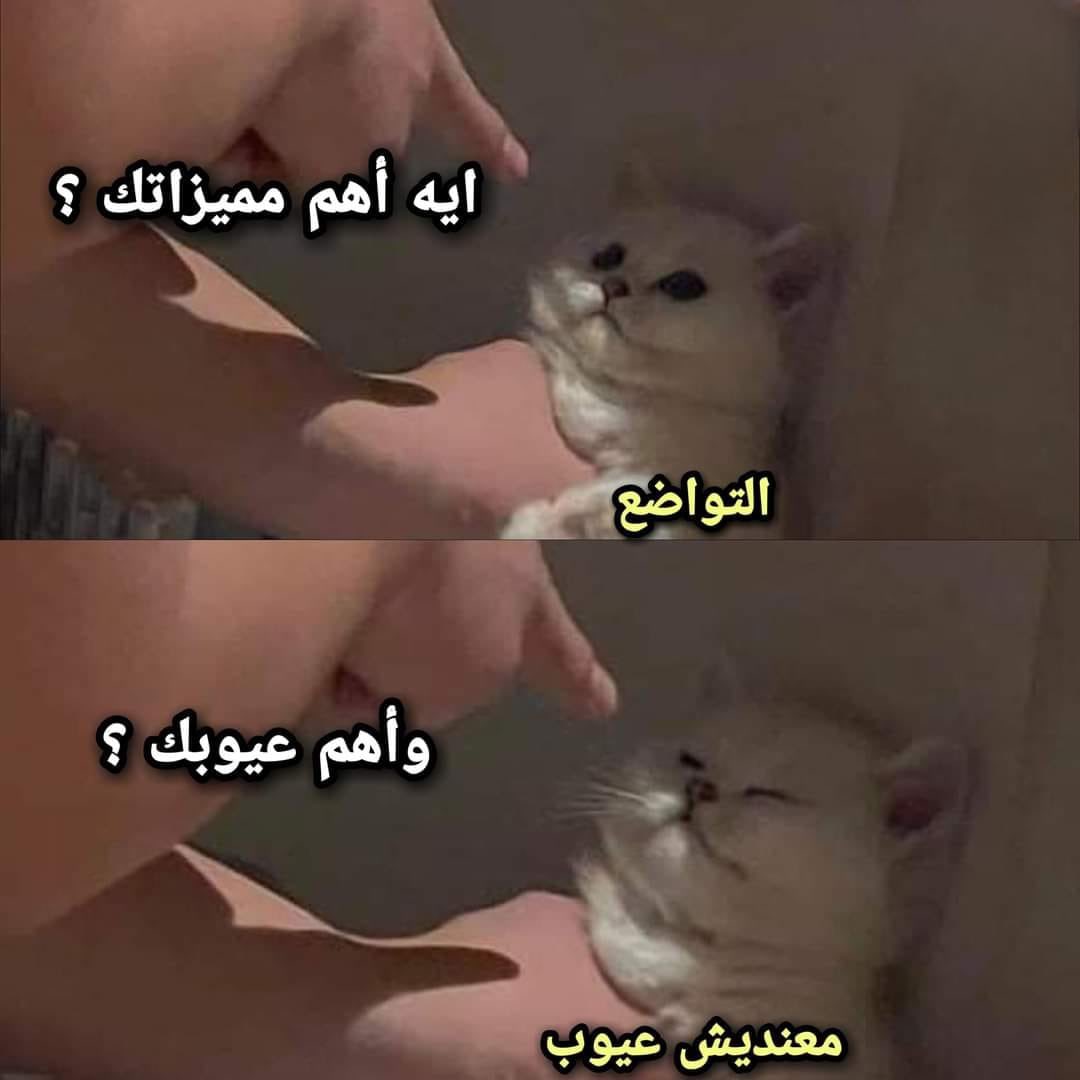 ابو ‏عمر tweet media