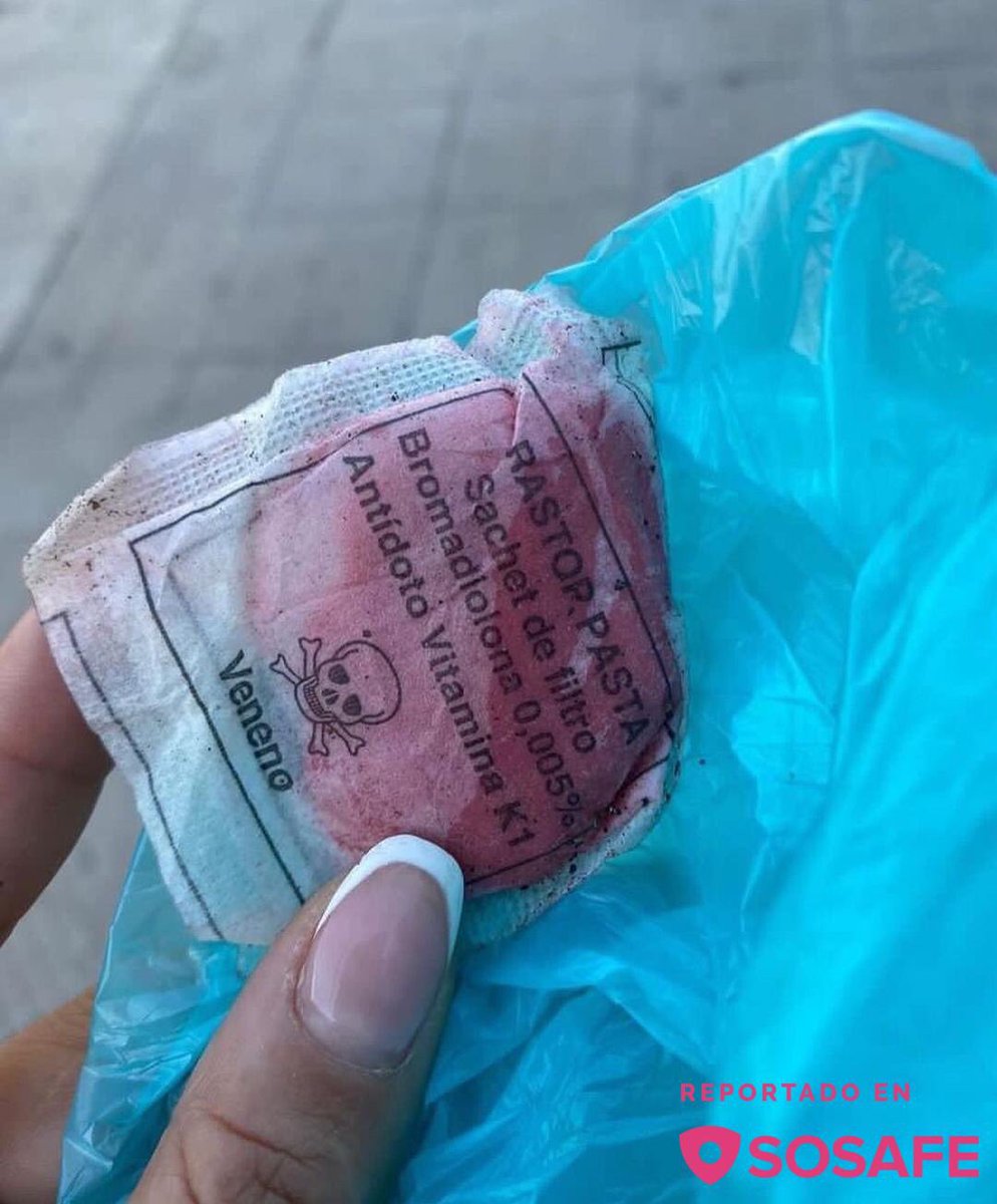 BzrOceana's tweet photo. En #castilloforestal pusieron veneno para ratón (sin protección) una perrita  comió y la tuvieron q llevar d urgencia al vet. No es la primera vez q pasa algo así, en ese sector tmb están los juegos para niños, no sé q tiene q pasar para q se tomen medidas, CONCRETAS @Muni_Stgo https://t.co/i1bEfAfaMg