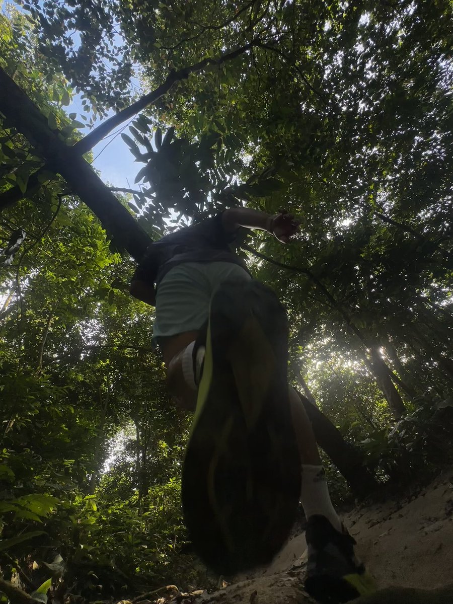 arininc's tweet photo. Running in the wild today https://t.co/iVgEkCnETk