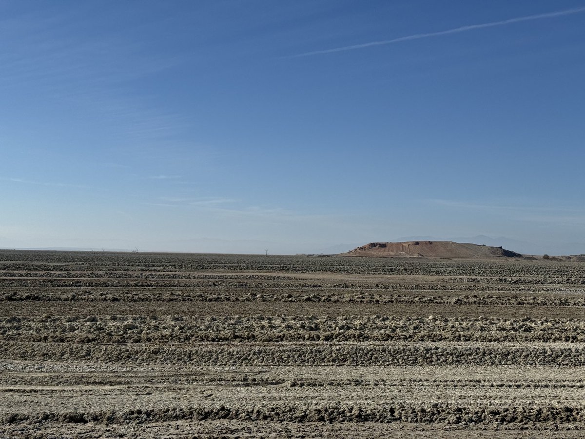 Westside Farmer tweet media