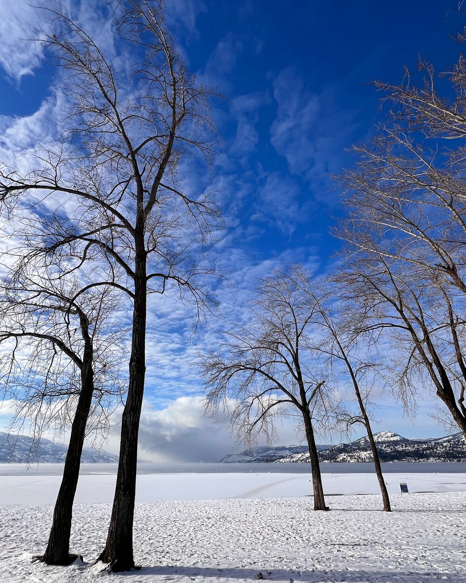 SUPokanagan's tweet photo. #gyrobeach in #kelowna #ShareYourWeather #Freezing https://t.co/YJ3v9Ed4oh