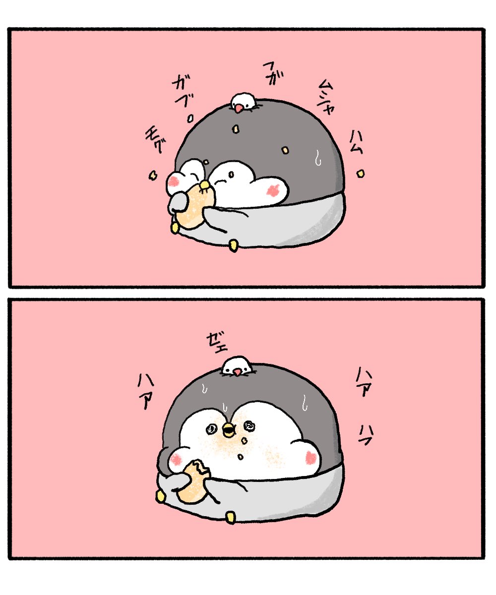 揚げパンを食べるペンギンのちゃんぺん