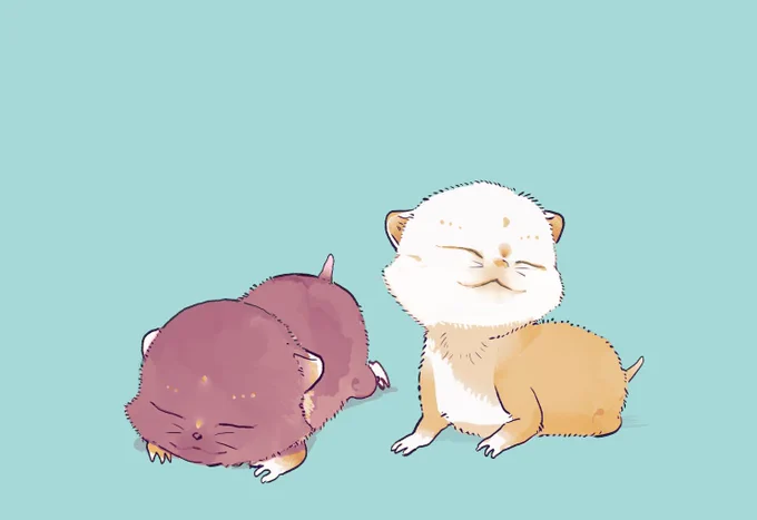 ここにまめのすけが新たに加わるのか