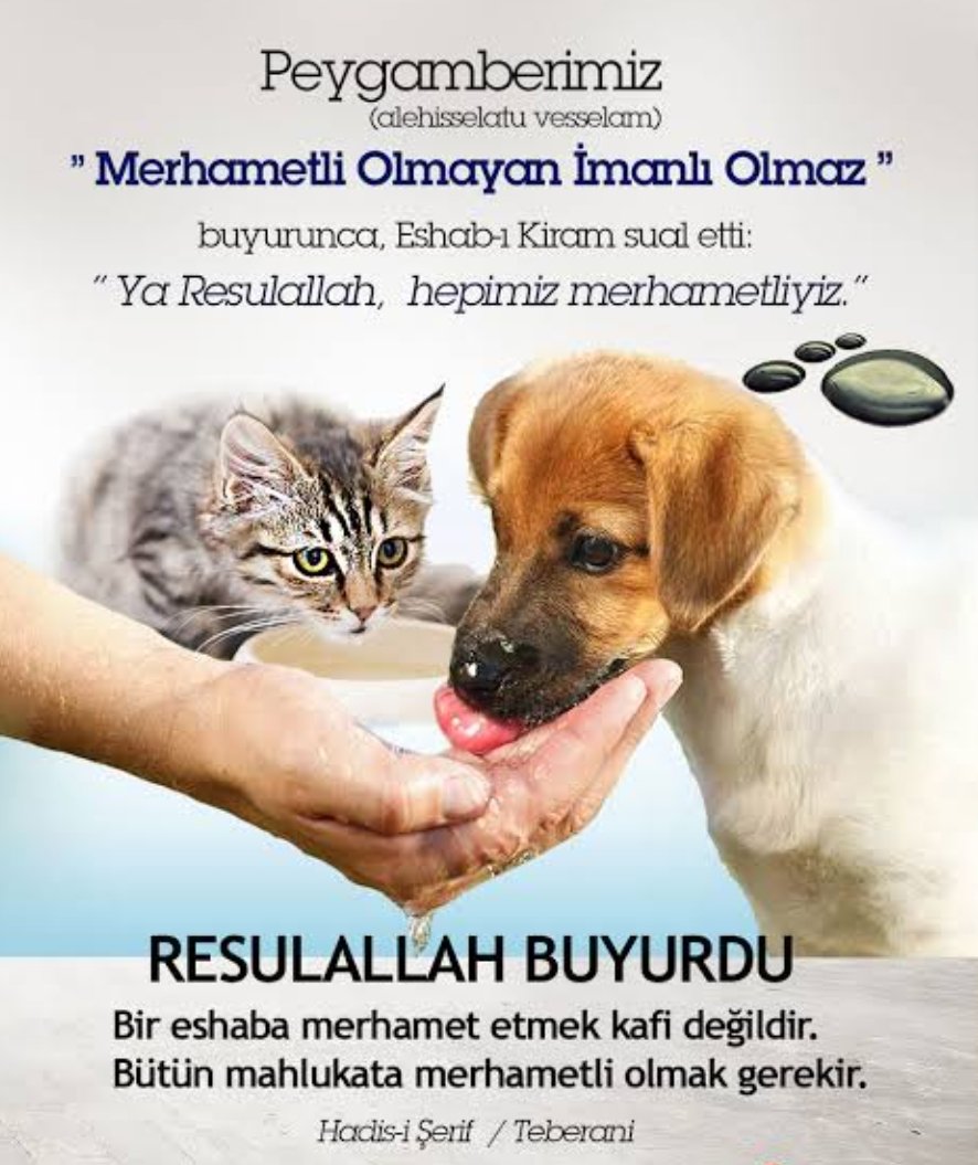 Aysun Güneş (@aysuncum_) on Twitter photo 