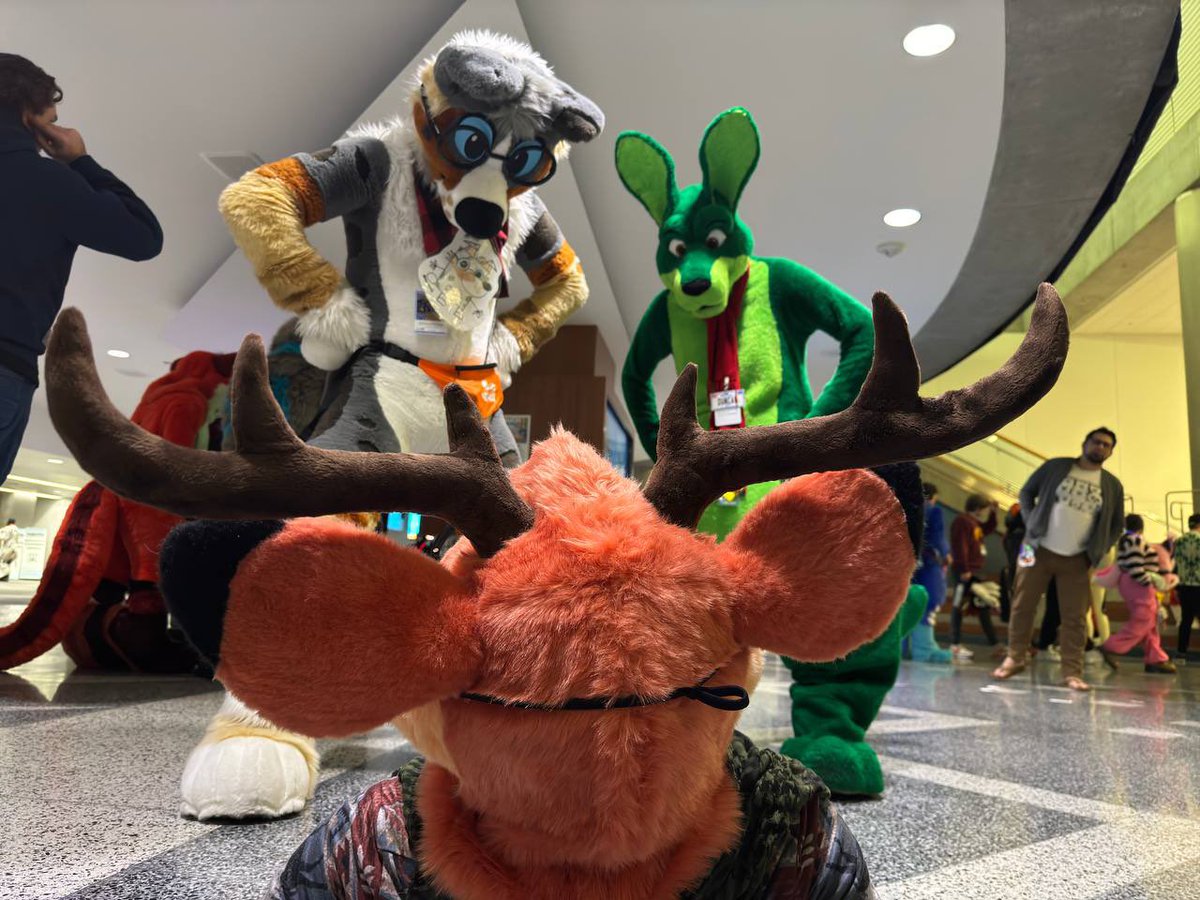 Witnessing the stepies happening! #FC2024 📸 @rfoxtail