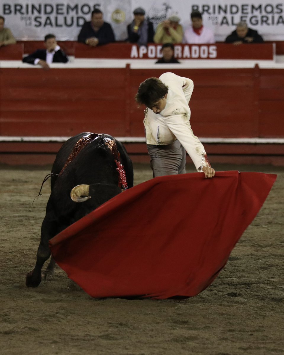 cormanizales's tweet photo. 5to de la noche de la Ganadería Ernesto Gutiérrez para Andres Roca Rey novillo encastado, Roca Rey se impone y cuaja una faena rotunda, suena el pasodoble feria de Manizales, 2 orejas https://t.co/rxqBRSyOBB