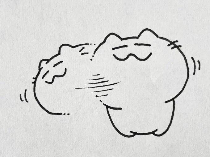 TikTokでよくみるアレ🐱