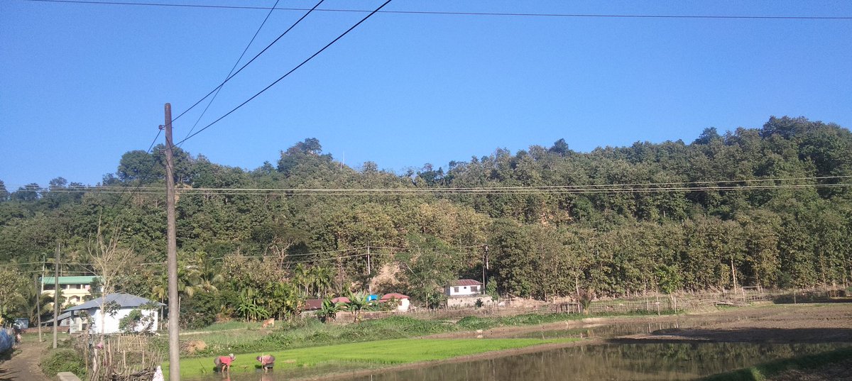 chakma khitan (@chakma_khitan) on Twitter photo 