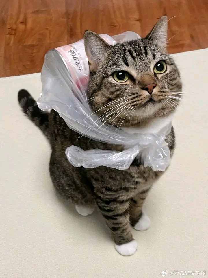 He's going on a journey