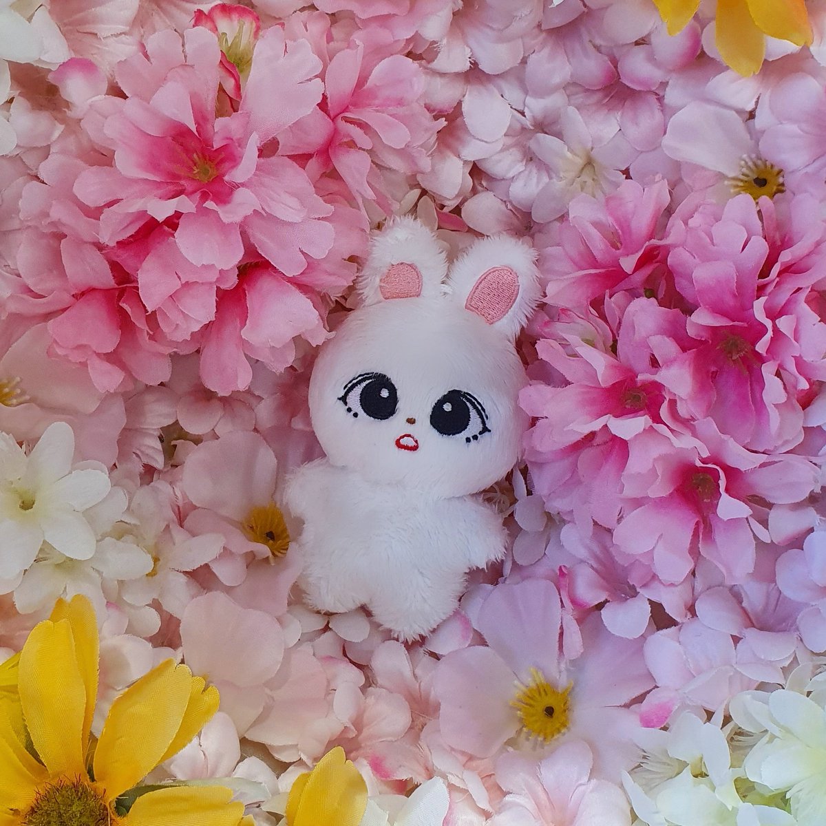 247GOs 🇲🇾 tweet media