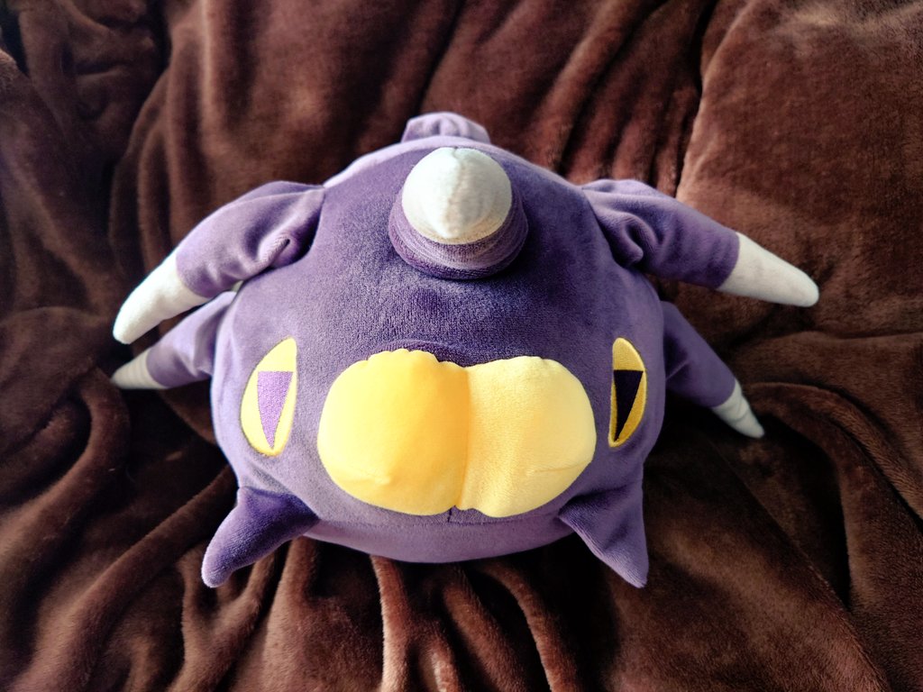 pkas1_0's tweet photo. 家のバチンウニ元気なさすぎてかわいい https://t.co/QdYYSaqbpK