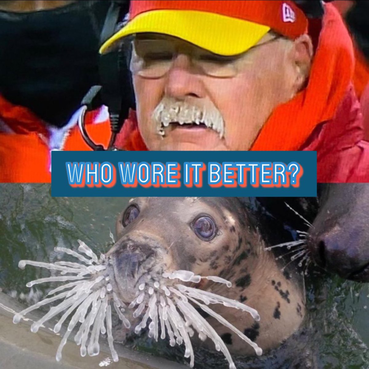 tinareeb's tweet image. #Chiefs #andyreid #frozenstache