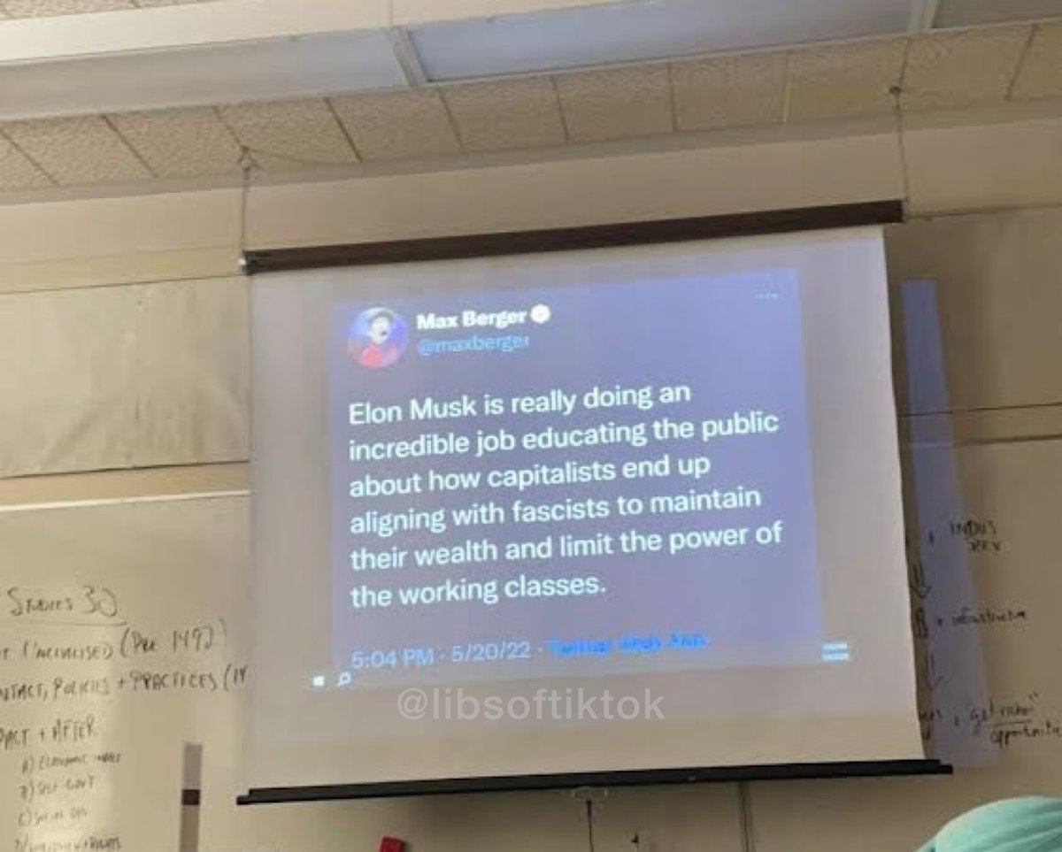 Libs of TikTok tweet media