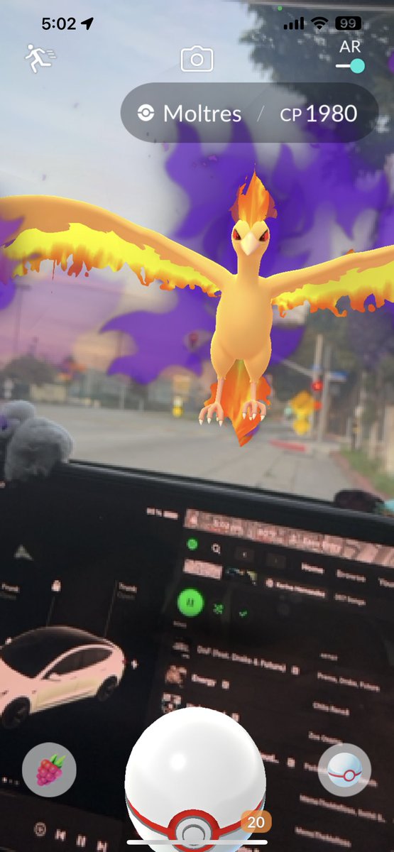 Shadow Hundo #Moltres #PokemonGO