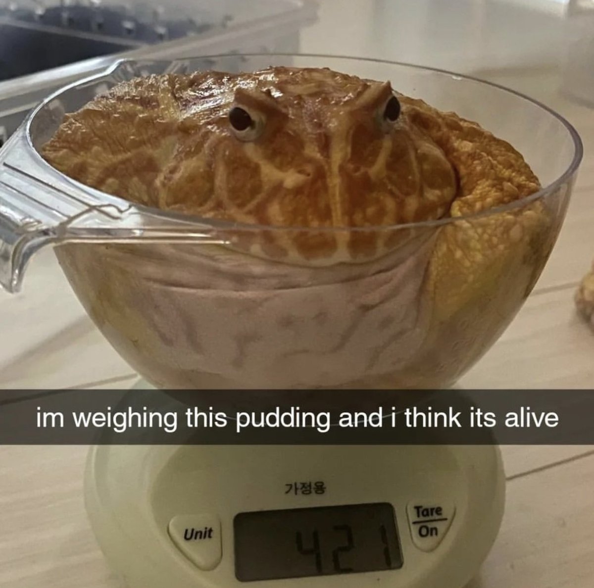 i like food tweet media