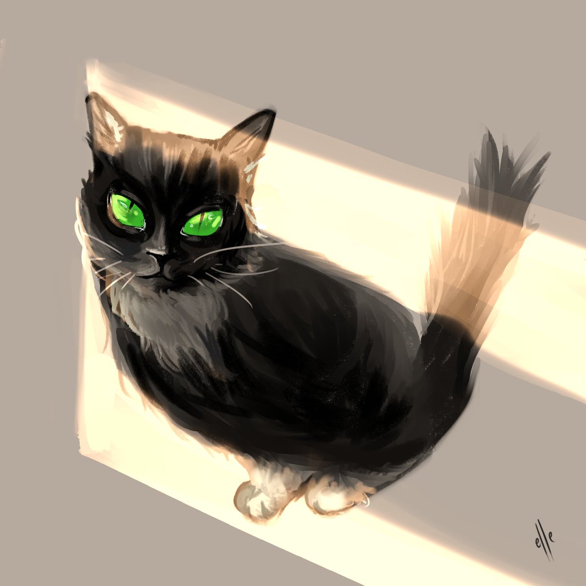 elleinhells's tweet photo. Quick black cat painting  🐈‍⬛🌞 https://t.co/jP4fH9XDO1