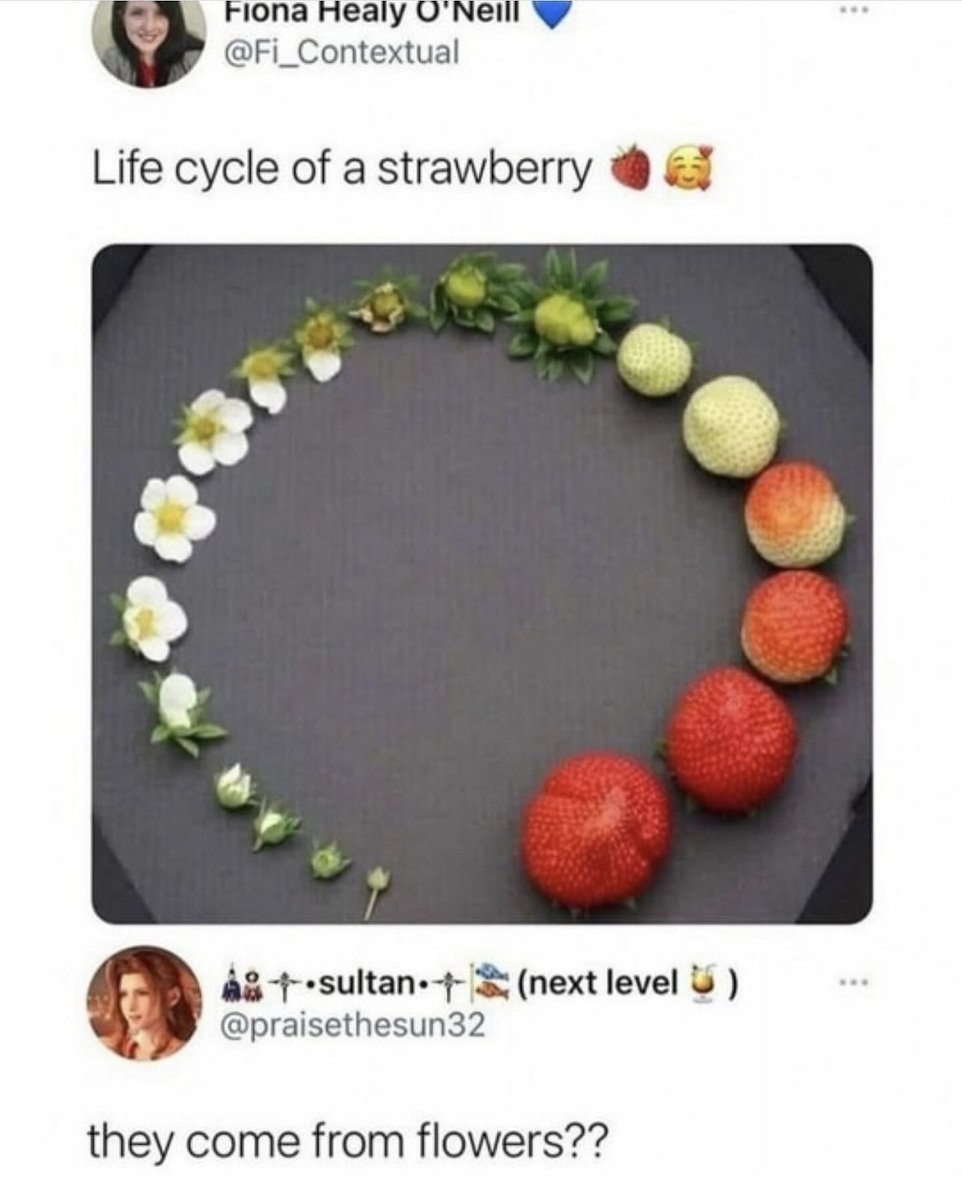 messedupfoods's tweet image. 