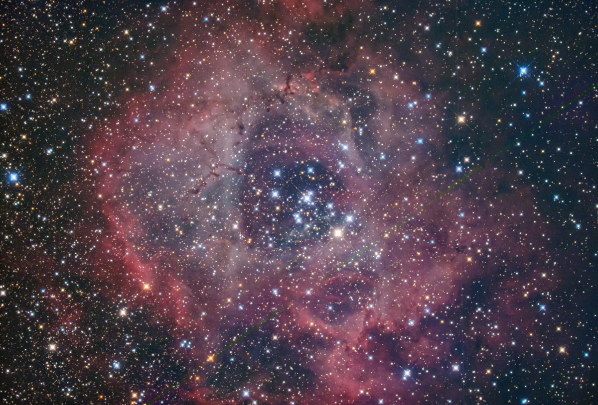 Peg0901's tweet photo. バラ星雲  いっかくじゅう座

撮影日:2024 1/12
カメラ:QHY183M
鏡筒:タカハシ ε130D
赤道儀:タカハシ EM-10(OnStep改造)
撮影システム:Kstars+Ekos及びINDI
ステライメージ8

#天体写真 #天体観測 #天体望遠鏡 #髙橋製作所 #ε130d  #バラ星雲　#桂川ウエルネスパーク #qhy183m  #星の写真 https://t.co/yoBZhVtUfT
