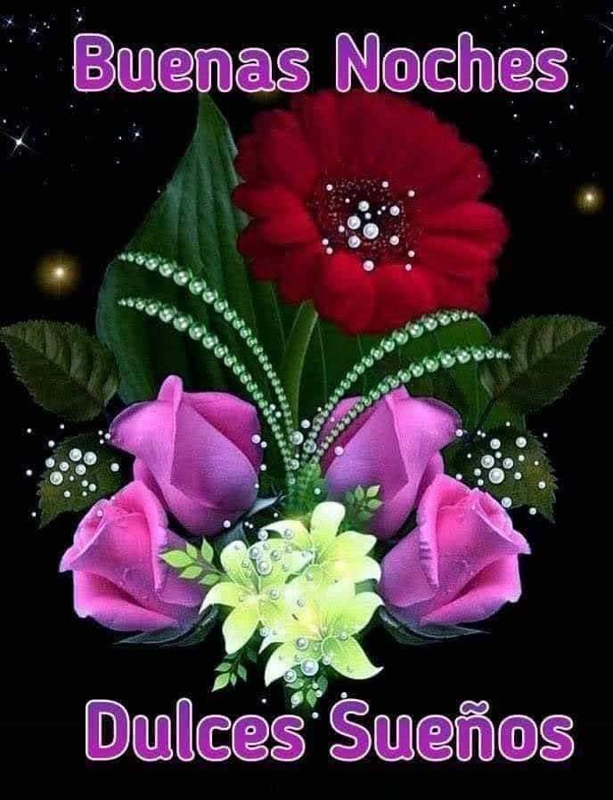 Buenas noches 😴💤💤