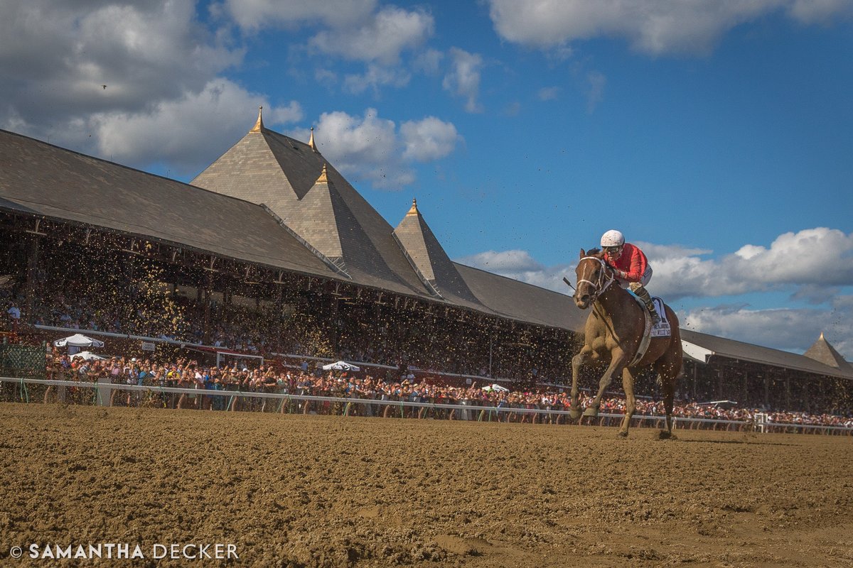 Graded stakes winner Willy Boi won his first race since 2022 yesterday at @GulfstreamPark .  Back in 2022, he placed third in the Grade I Alfred G. Vanderbilt Handicap at Saratoga.  Congrats to trainer @MGRacing_ , jockey @luissaezpty and owner Flying P Stable!