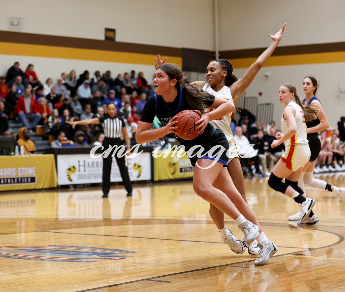 ChrisSchmitz168's tweet photo. “Class Warfare”
The Incarnate Word Red Knights defeat the reigning Class 5 state champions, Lutheran St. Charles Cougars 74-52 in the @sweet_hoops All Girls Showcase tonight at historic @HarrisStowe @Athletics_IWA @iwa_hoops @LHSCougarGBB @PrepSportsSTL @scoreboardguy #sweethoops https://t.co/nP47DUI4ET