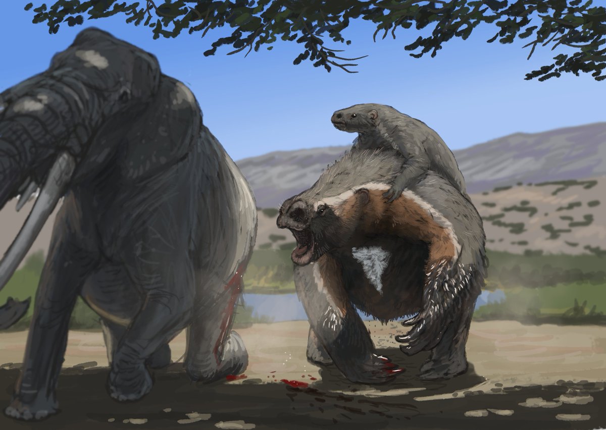 Results from the Sloth #paleostream! Hapalops, Diabolotherium ...