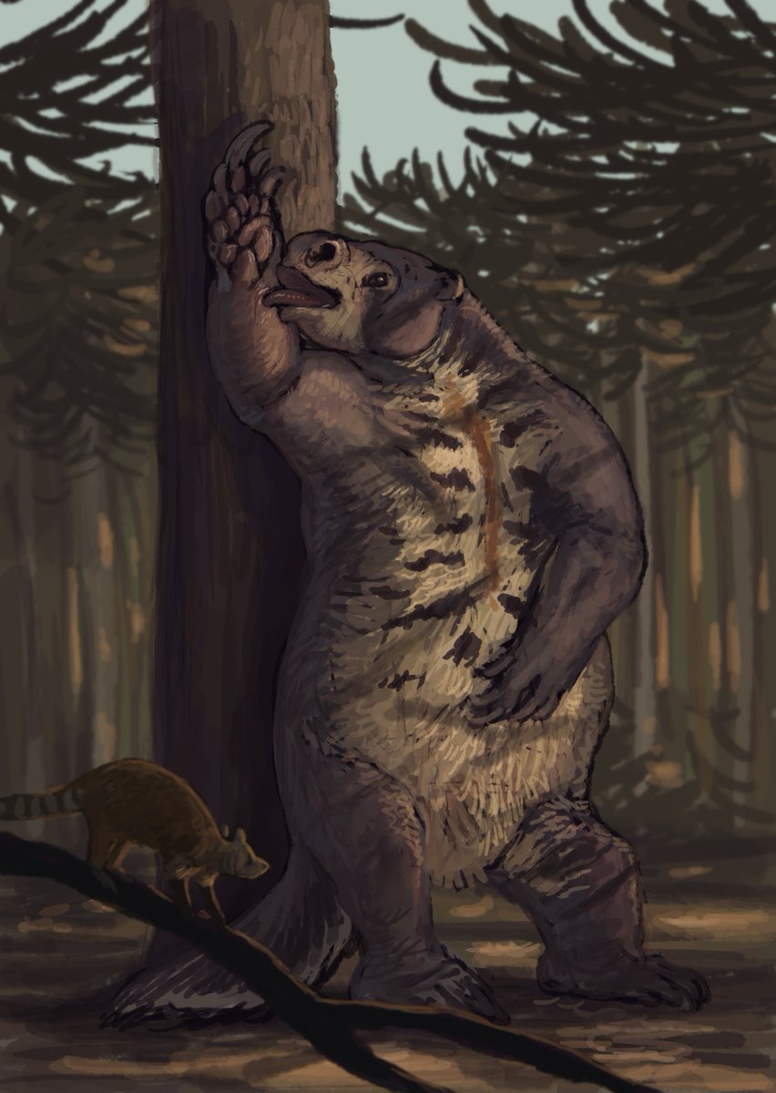 Results from the Sloth #paleostream! Hapalops, Diabolotherium ...