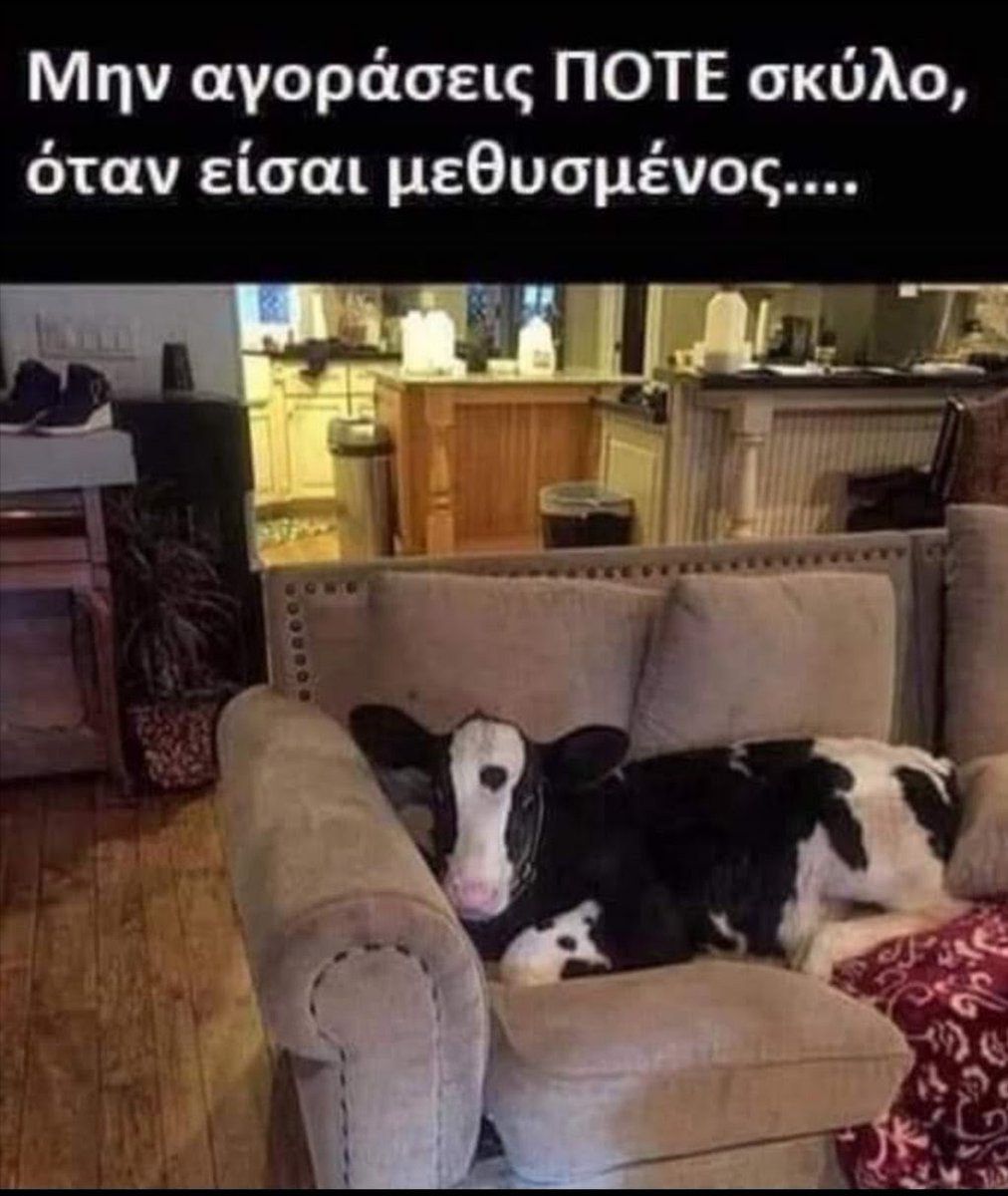 nyxtokavalars's tweet photo. Καλημέρες....!! https://t.co/P95AAvosJR
